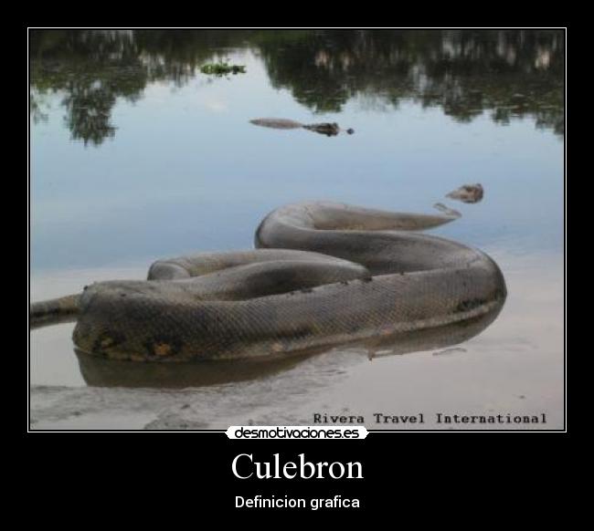 Culebron -