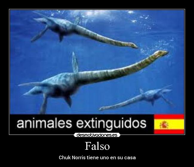 Falso - 