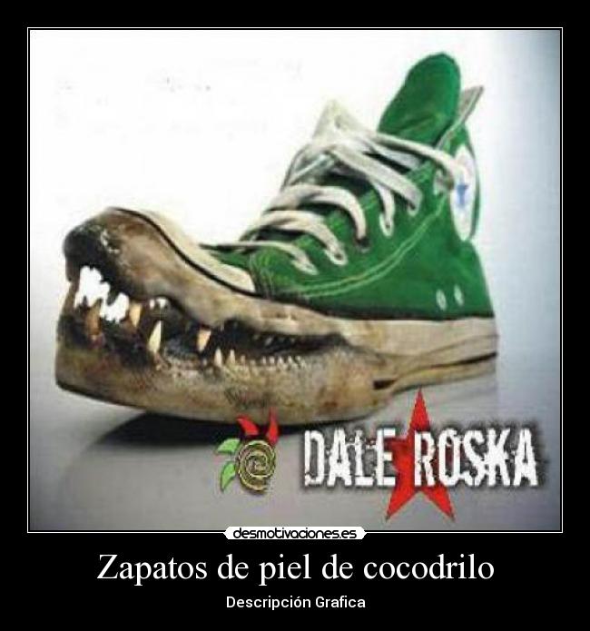 Zapatos de piel de cocodrilo - Descripción Grafica