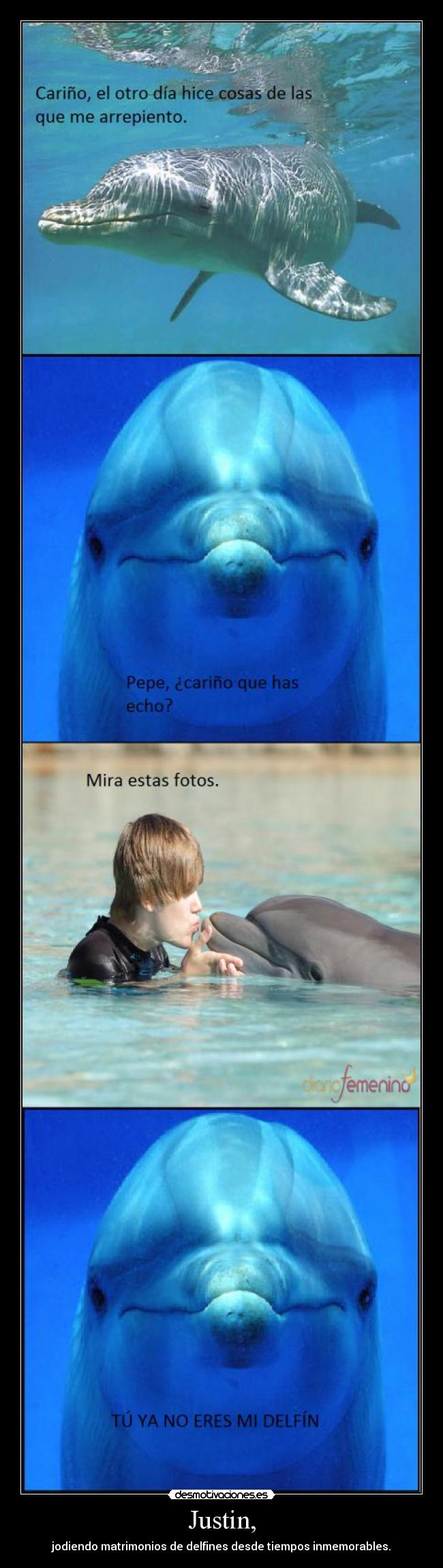 Justin, - jodiendo matrimonios de delfines desde tiempos inmemorables.