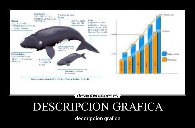 DESCRIPCION GRAFICA - descripcion grafica
