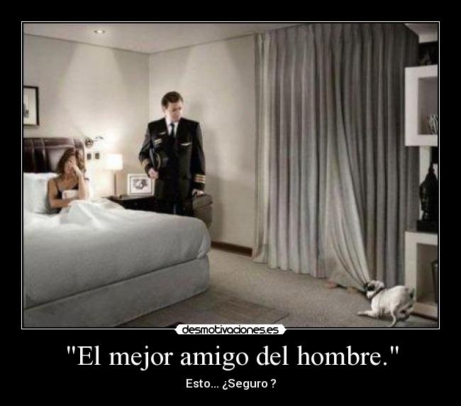 El mejor amigo del hombre. - Esto... ¿Seguro ?