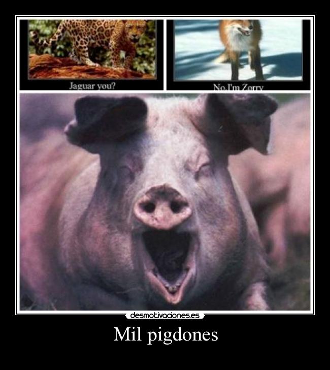 Mil pigdones - 