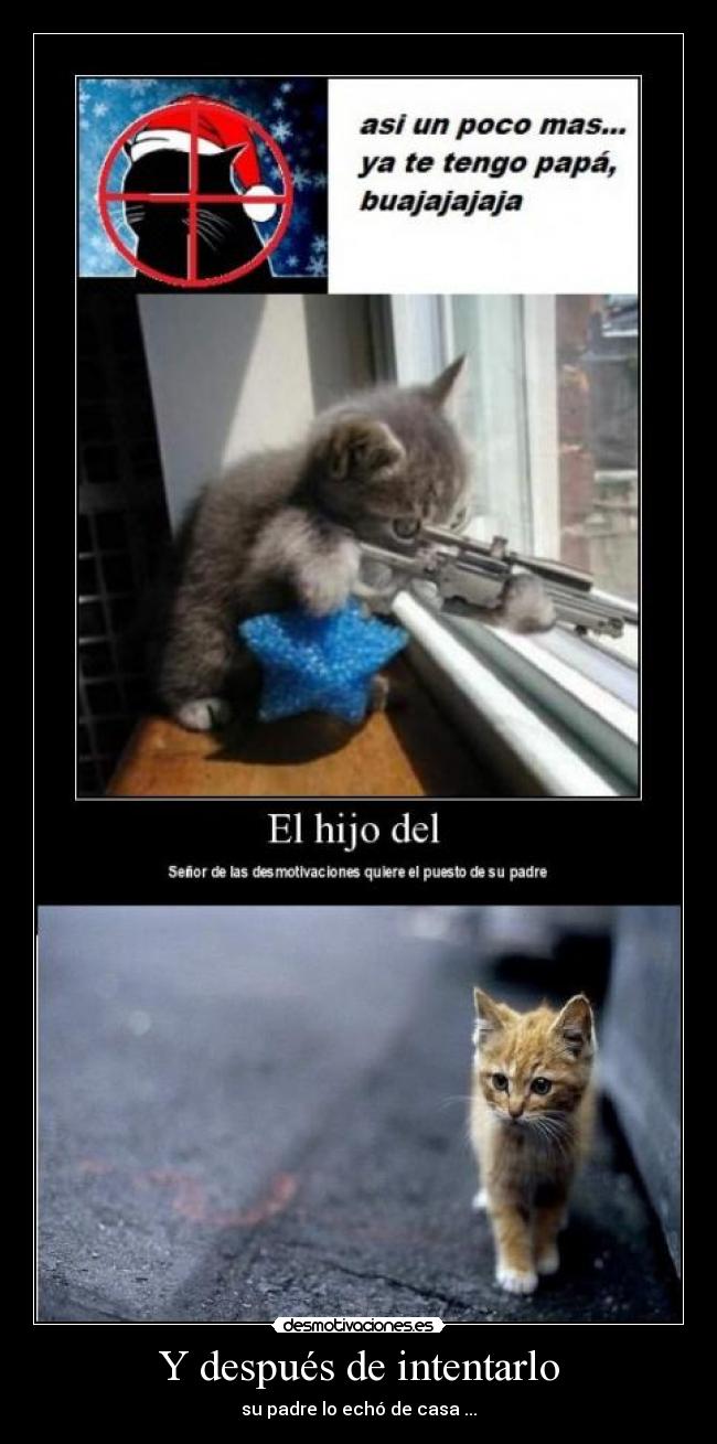 Y después de intentarlo -