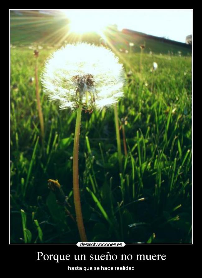 Porque un sueño no muere - 