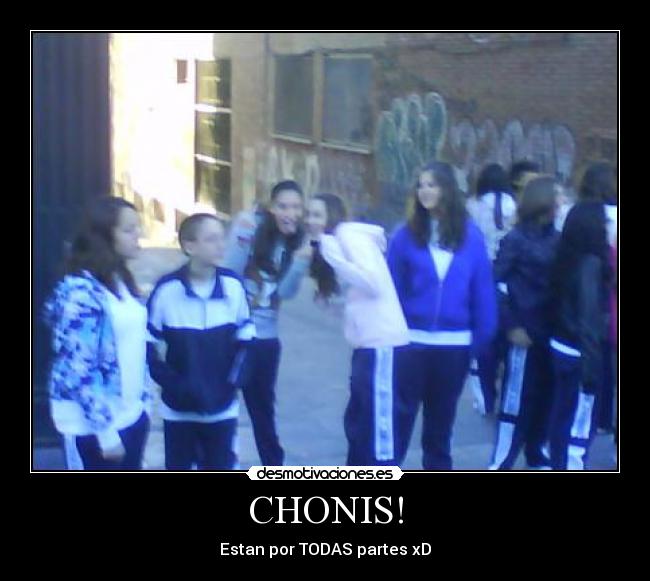 CHONIS! - Estan por TODAS partes xD
