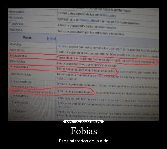 carteles fobias muerthogar humor desmotivaciones