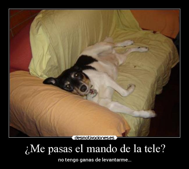 ¿Me pasas el mando de la tele? - no tengo ganas de levantarme...