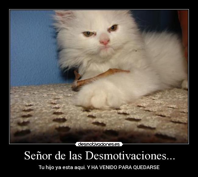Señor de las Desmotivaciones... - Tu hijo ya esta aqui. Y HA VENIDO PARA QUEDARSE