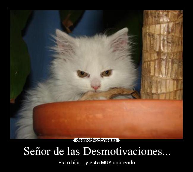 Señor de las Desmotivaciones... - 