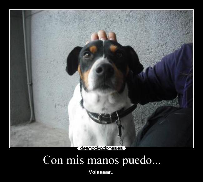 Con mis manos puedo... - Volaaaar...
