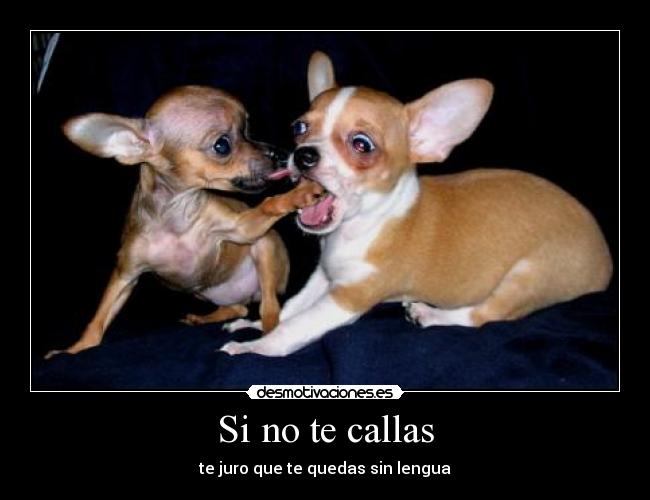 Si no te callas - 