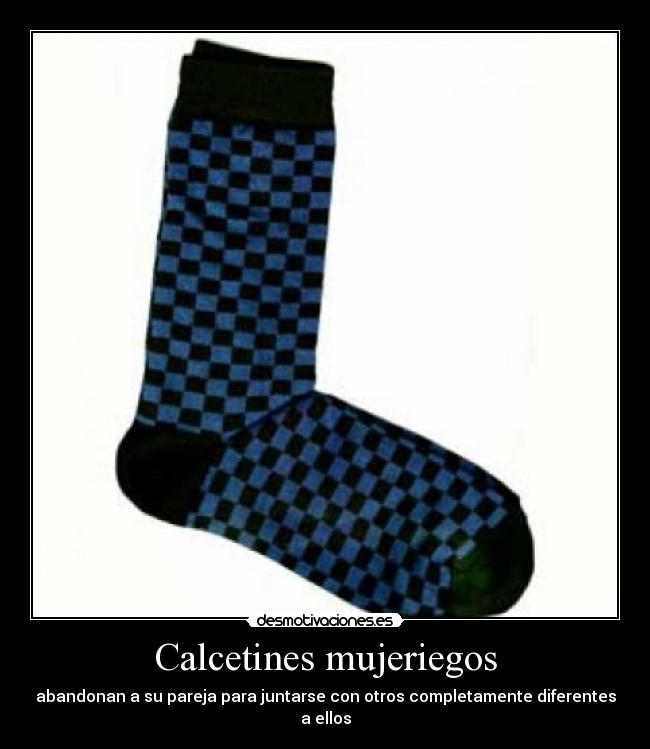 Calcetines mujeriegos - abandonan a su pareja para juntarse con otros completamente diferentes a ellos