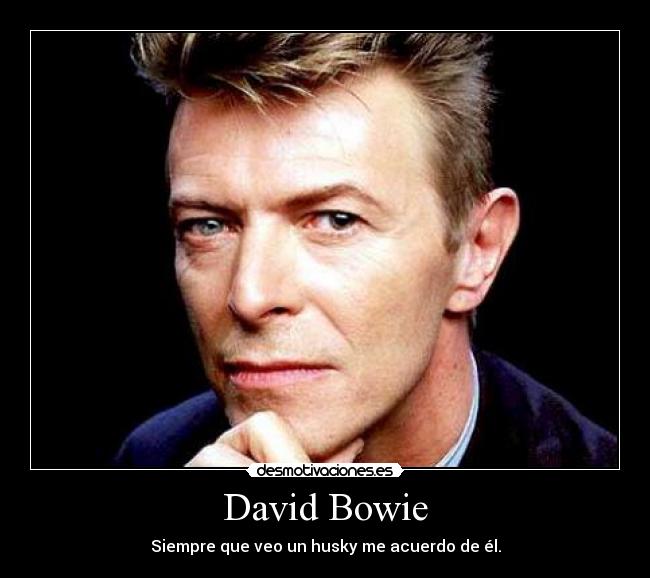 David Bowie -