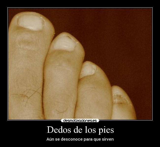 Dedos de los pies - Aún se desconoce para que sirven