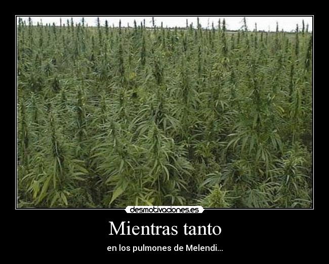 Mientras tanto - en los pulmones de Melendi...