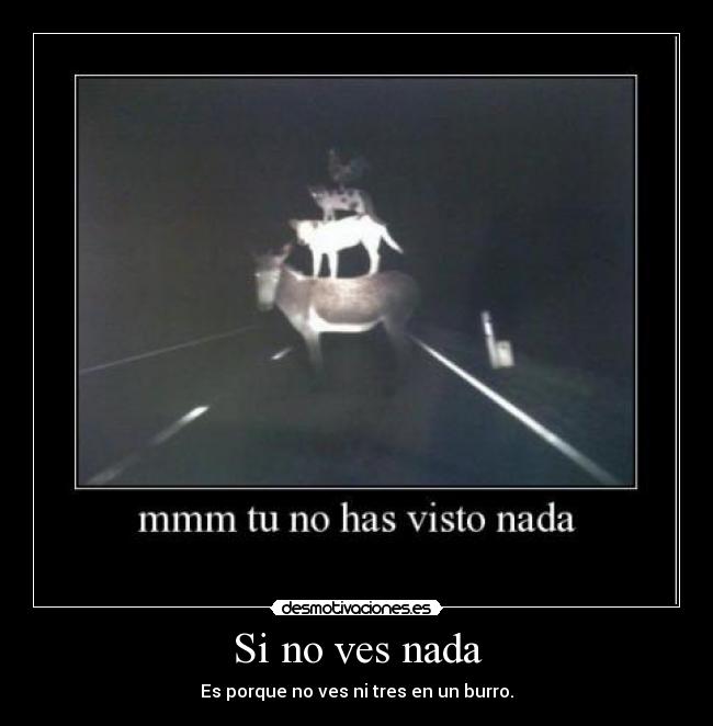 Si no ves nada - Es porque no ves ni tres en un burro.