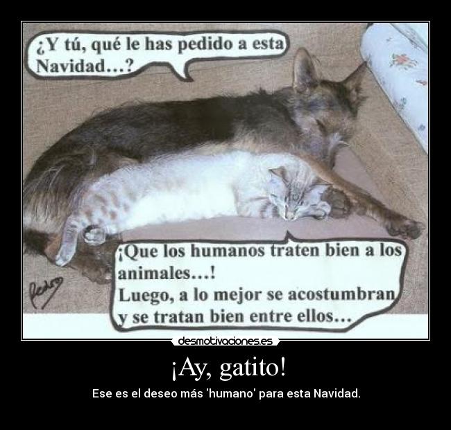 carteles navidad animales paz desmotivaciones