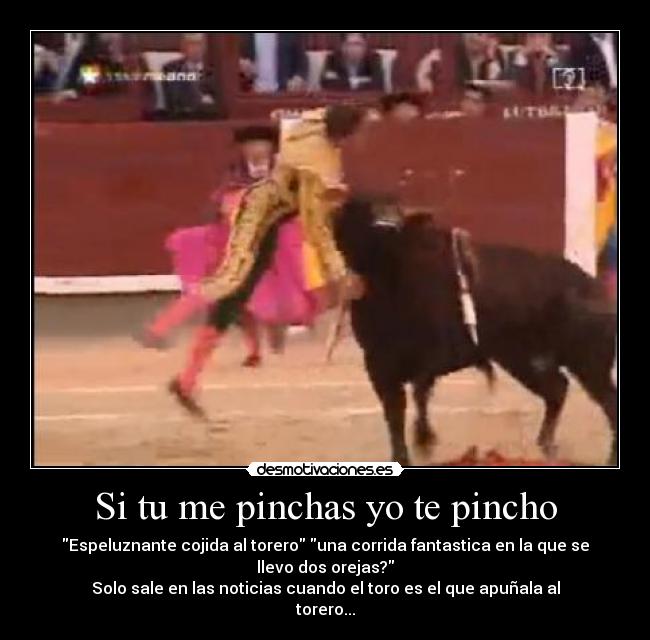 carteles toros corridas toreros desmotivaciones