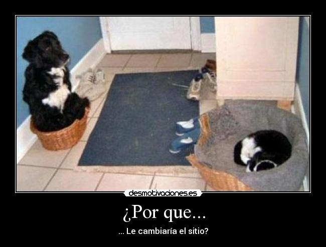 ¿Por que... - 