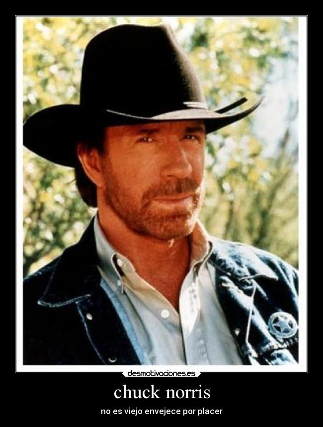 chuck norris - 