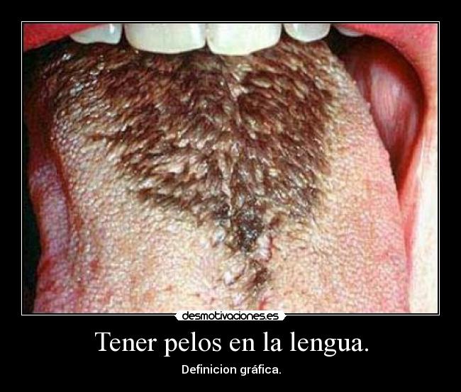 carteles pelos lengua desmotivaciones