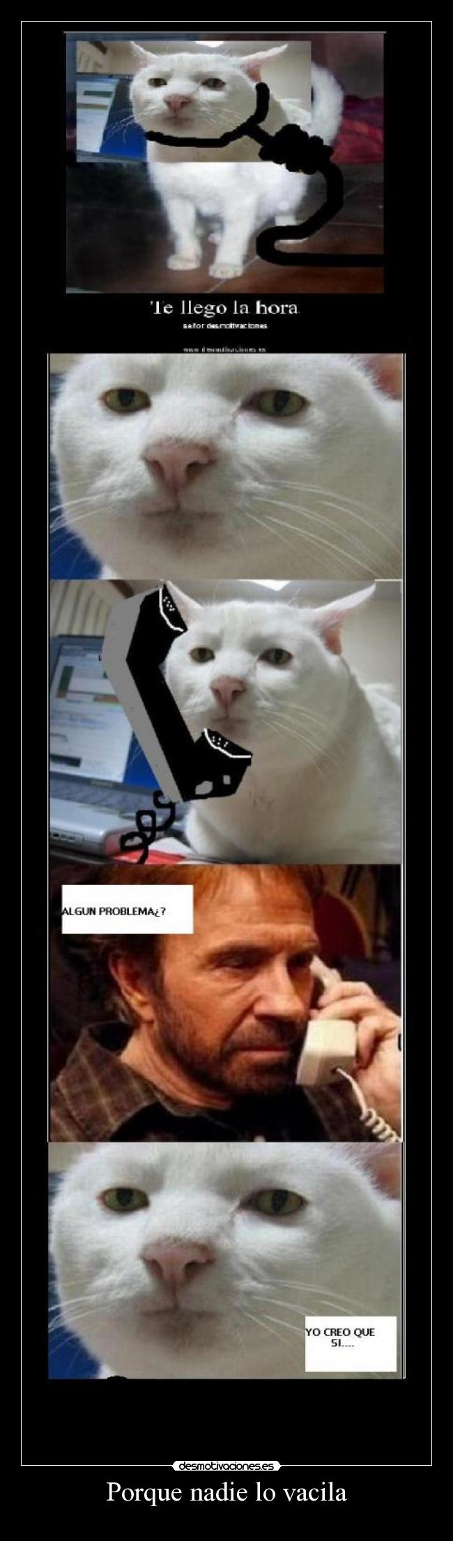 Porque nadie lo vacila - 