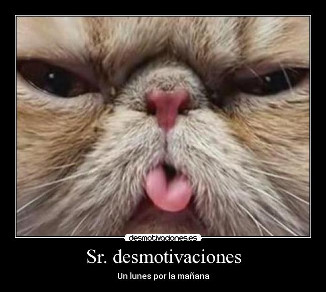 Sr. desmotivaciones -