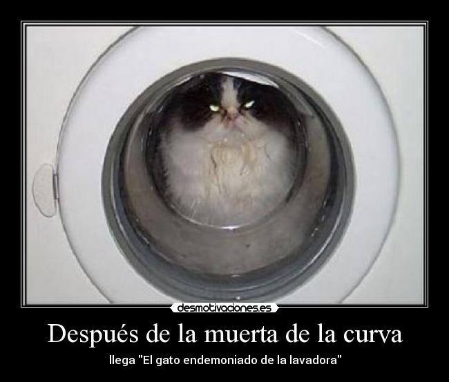 Después de la muerta de la curva - 