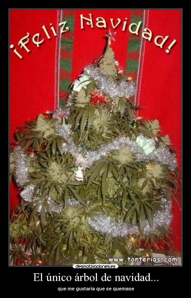 El único árbol de navidad... - que me gustaría que se quemase