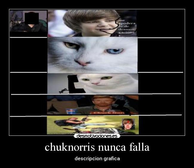 chuknorris nunca falla - 