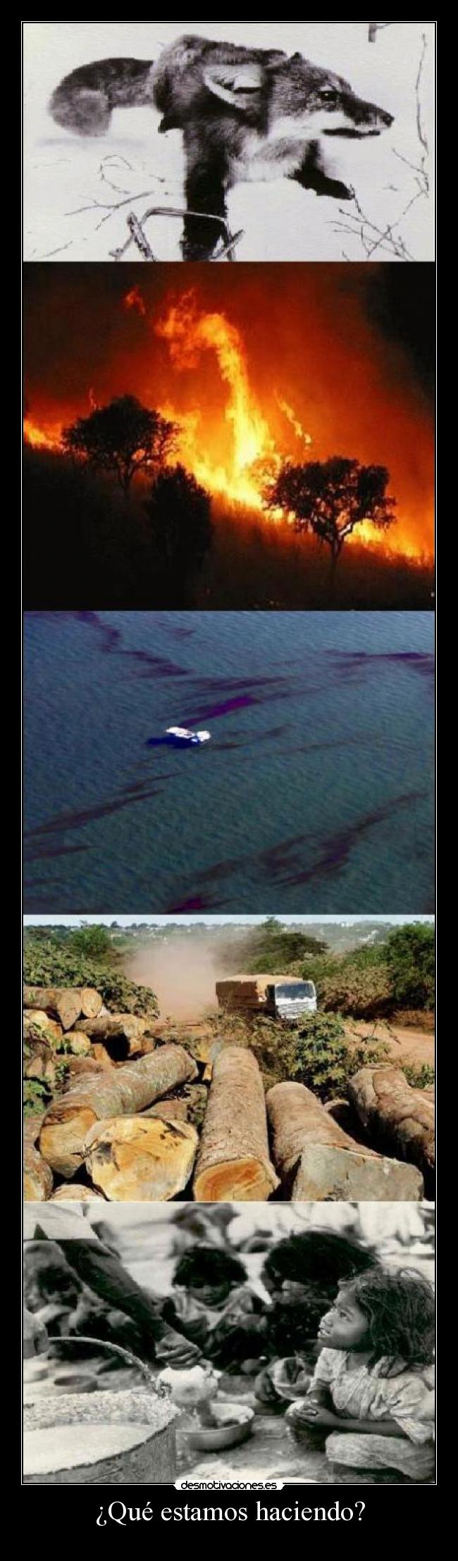 ¿Qué estamos haciendo? - 