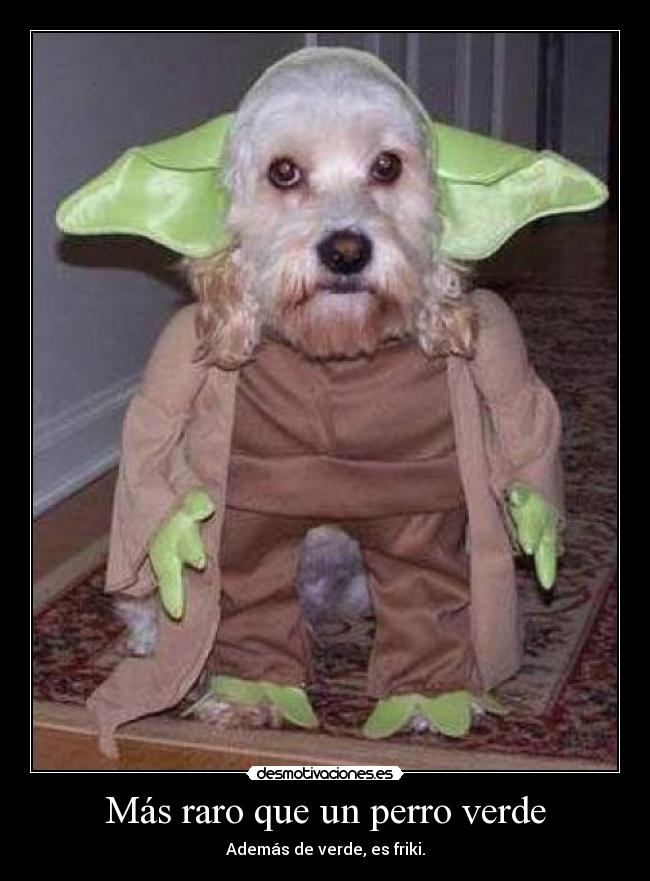 Más raro que un perro verde - Además de verde, es friki.