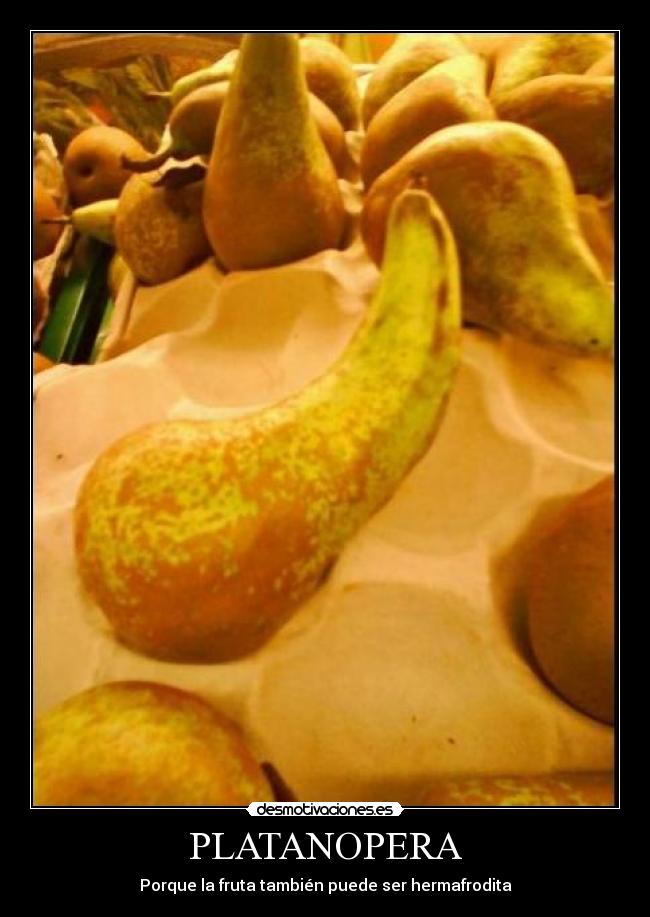 PLATANOPERA - Porque la fruta también puede ser hermafrodita