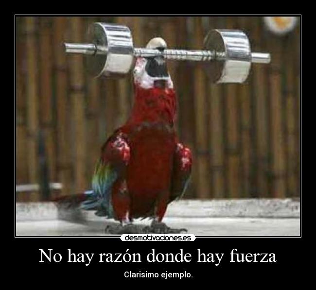 No hay razón donde hay fuerza - 