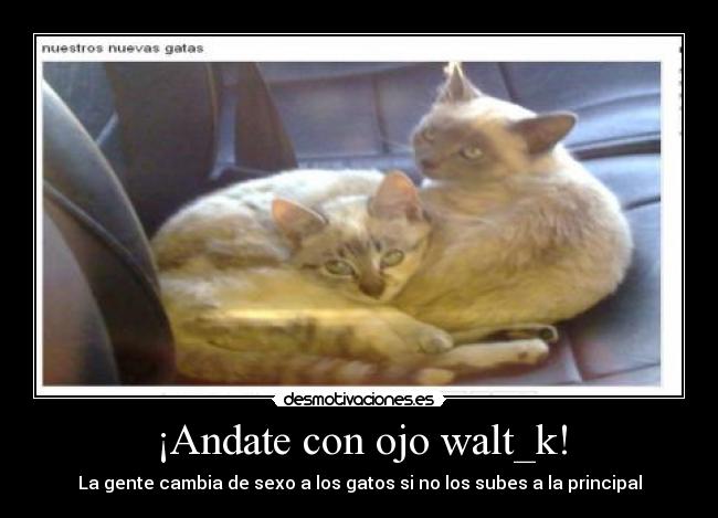 carteles walt_k desmotivaciones