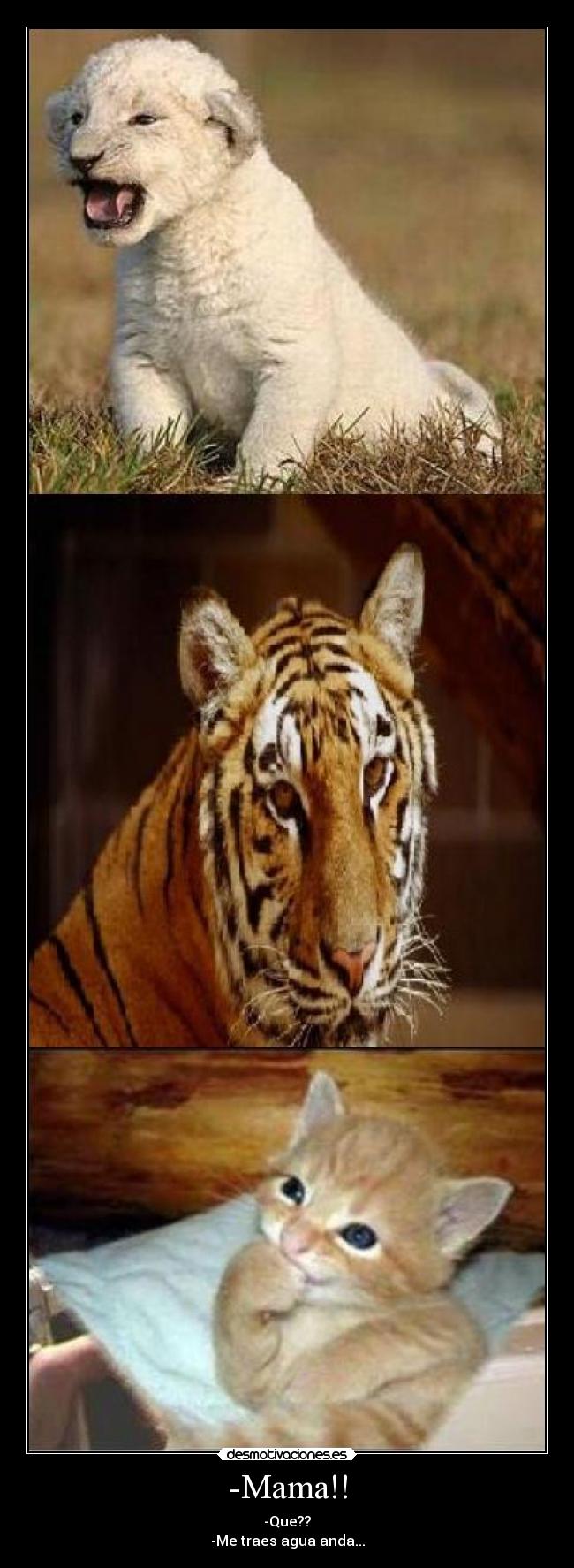 -Mama!! - -Que??
-Me traes agua anda...