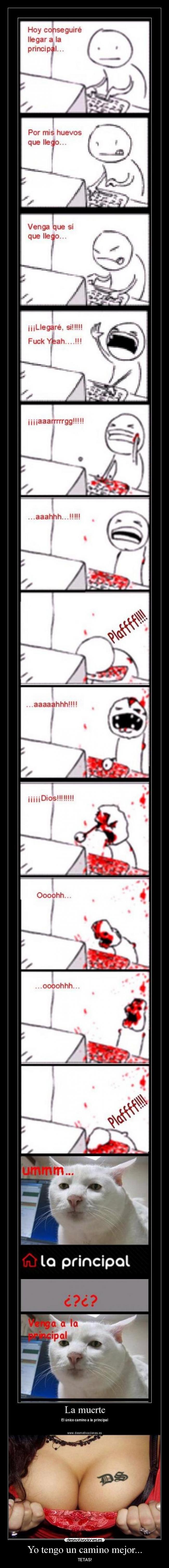 Yo tengo un camino mejor... - TETAS!