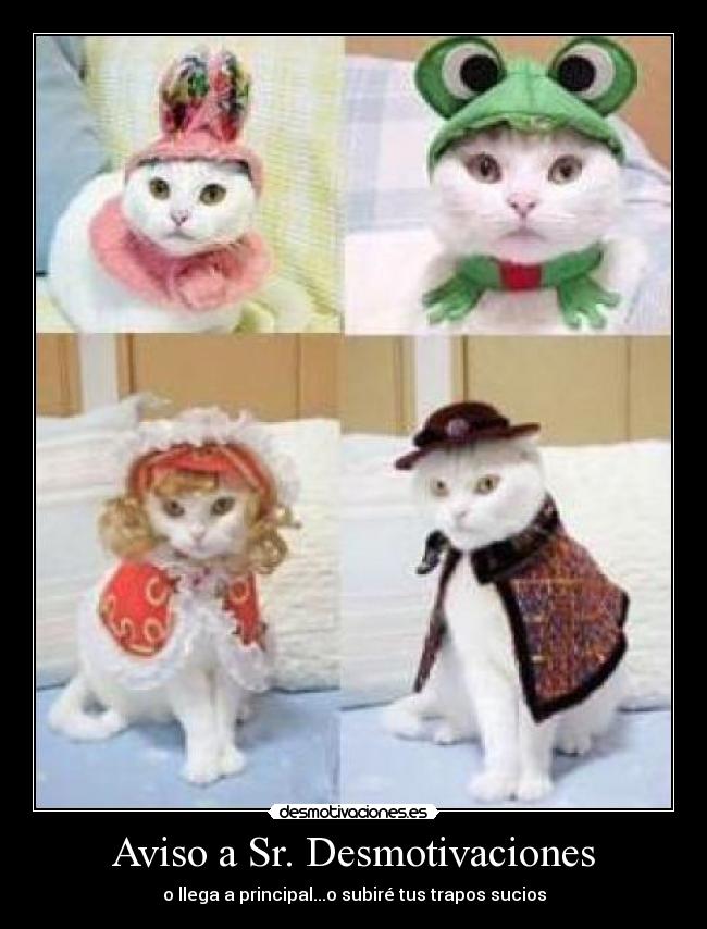 Aviso a Sr. Desmotivaciones - o llega a principal...o subiré tus trapos sucios