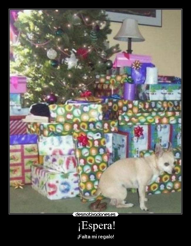 ¡Espera! - ¡Falta mi regalo!