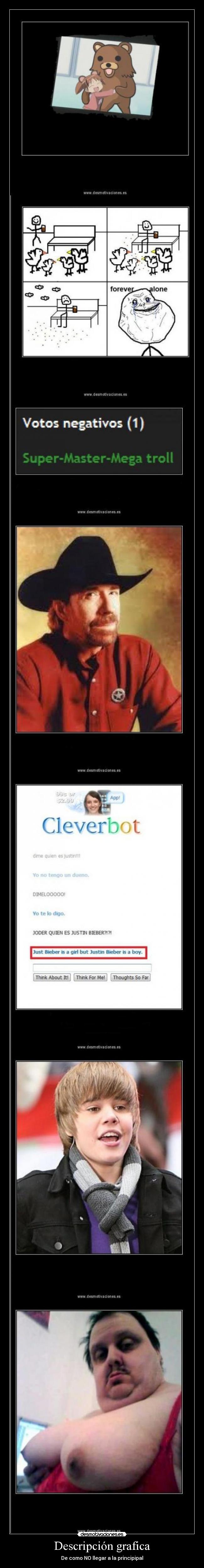 Descripción grafica -