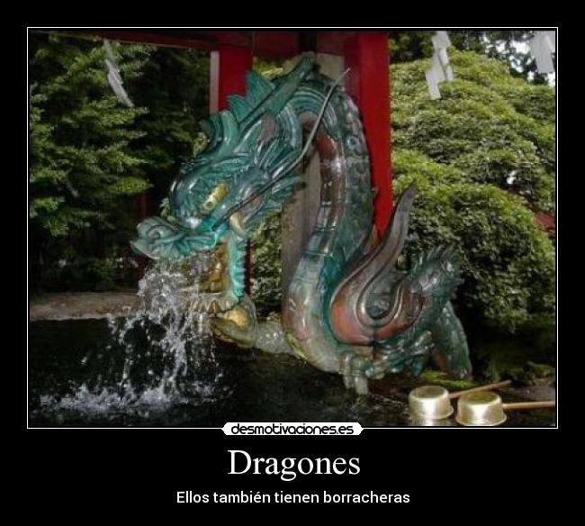 Dragones - Ellos también tienen borracheras
