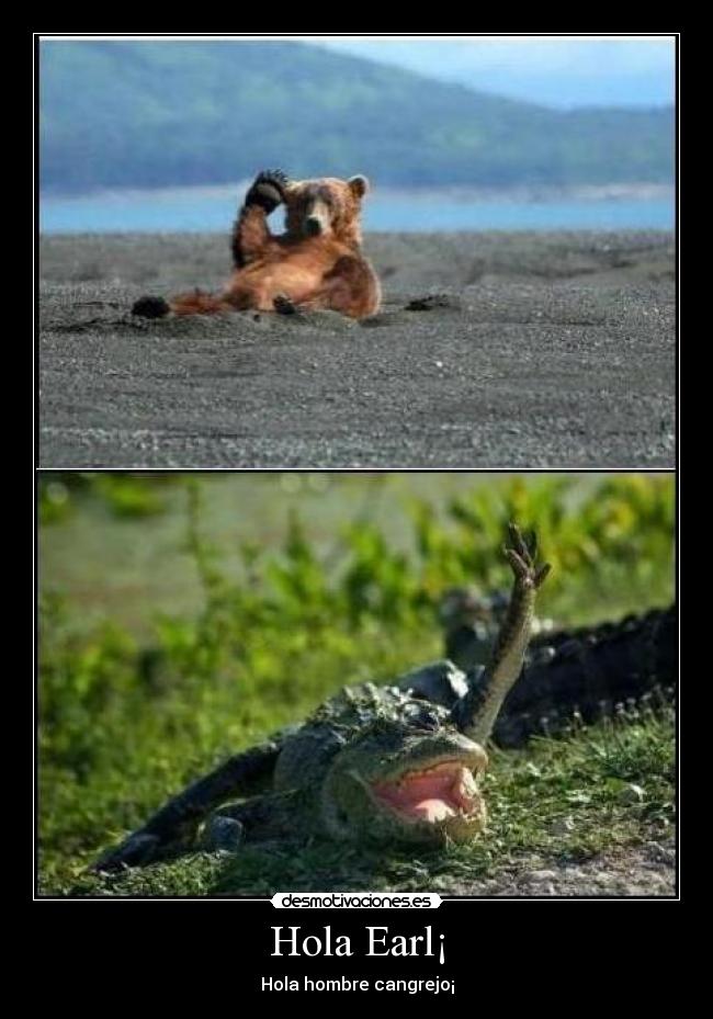Hola Earl¡ - Hola hombre cangrejo¡