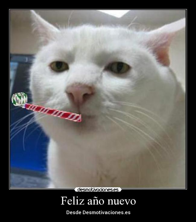 Feliz año nuevo -