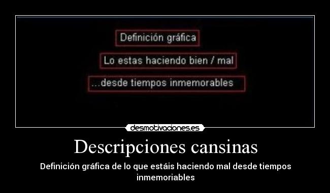 Descripciones cansinas -