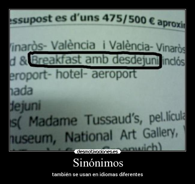Sinónimos - también se usan en idiomas diferentes