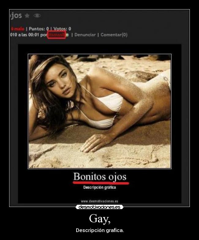 Gay, - Descripción grafica.