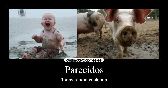 Parecidos - 