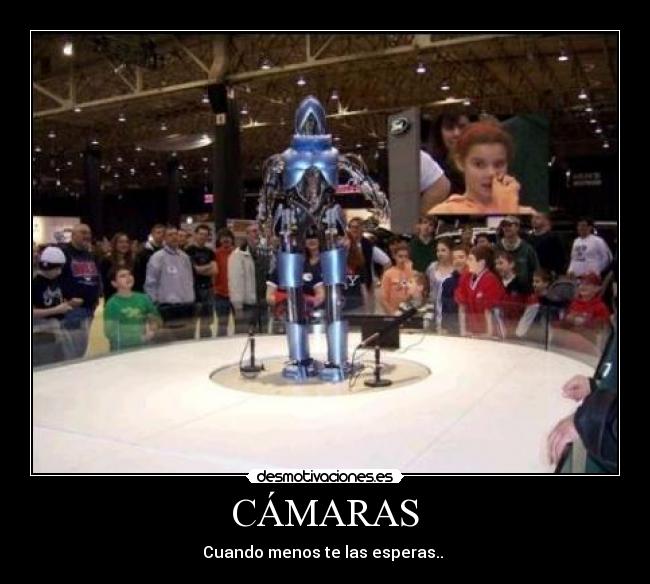 CÁMARAS - 