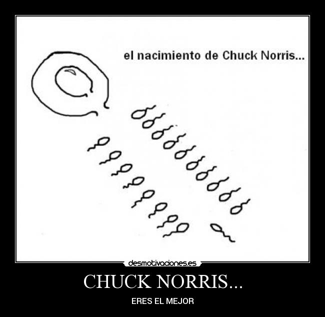 CHUCK NORRIS... - ERES EL MEJOR